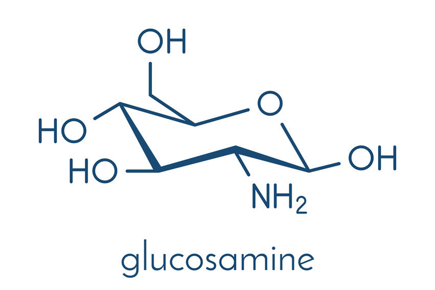Glucosamine et arthrose
