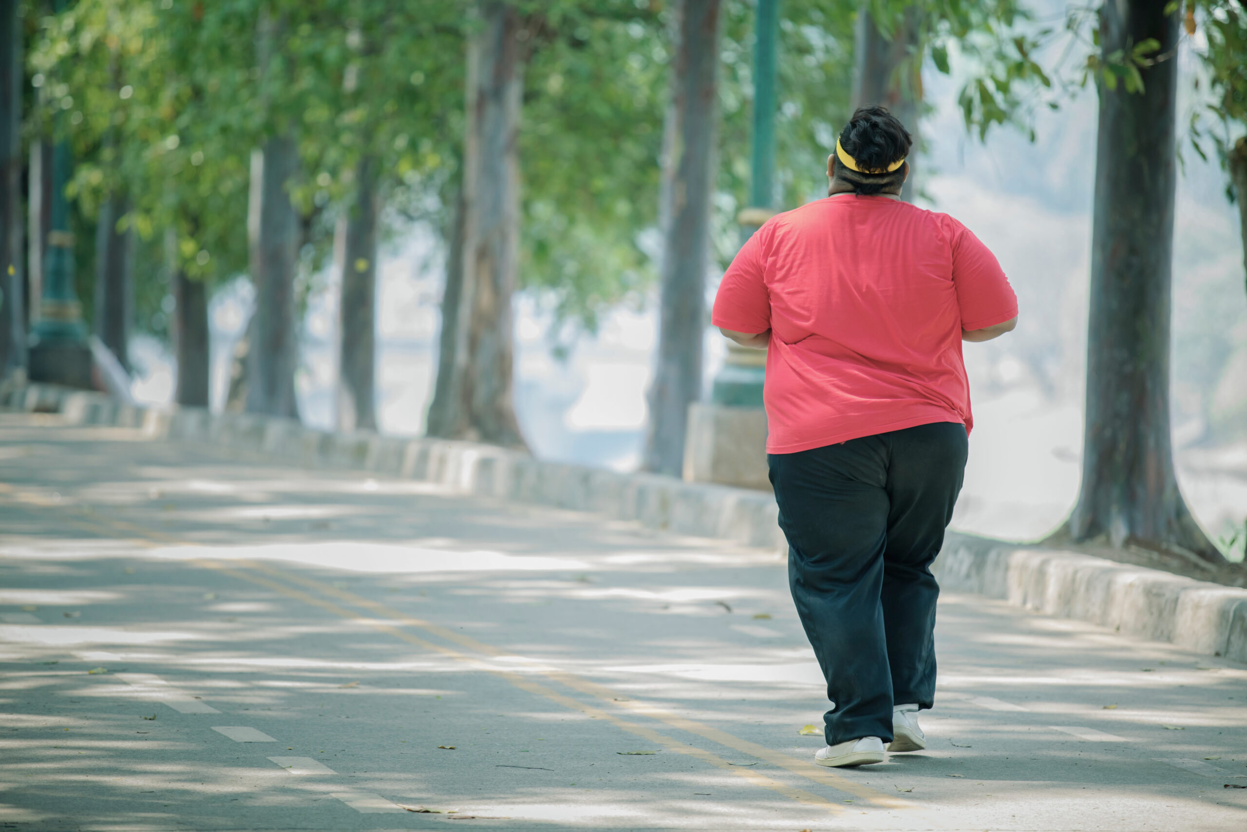 obésité et arthrose